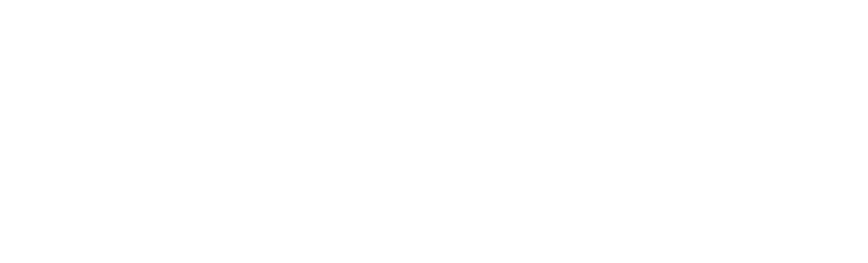 Port Stephens Council