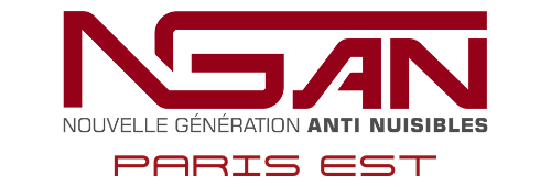 logo ngan