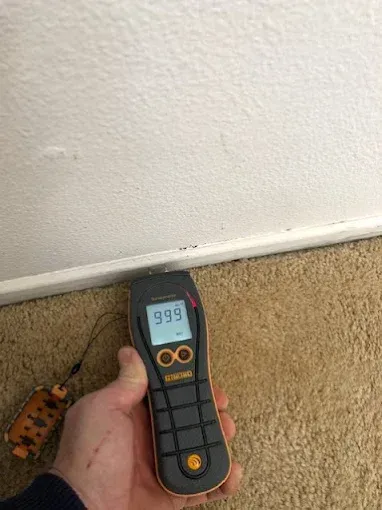 Hand holding a moisture meter against a white wall near a baseboard and carpet; meter reads 999.