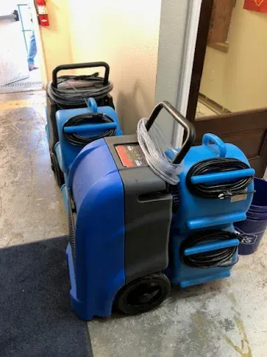 Blue and black water extraction machine with hoses in a hallway.
