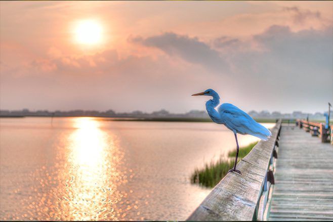 A man and a woman are holding a large red fish on a boat.