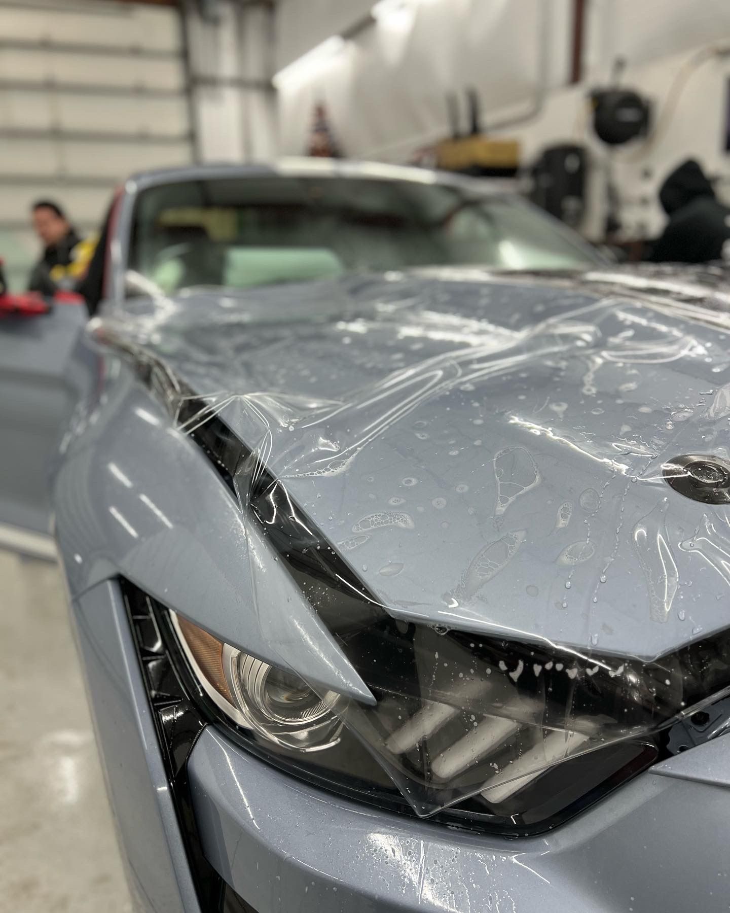Paint Protection Film