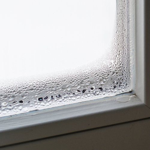 Window & Door Repairs