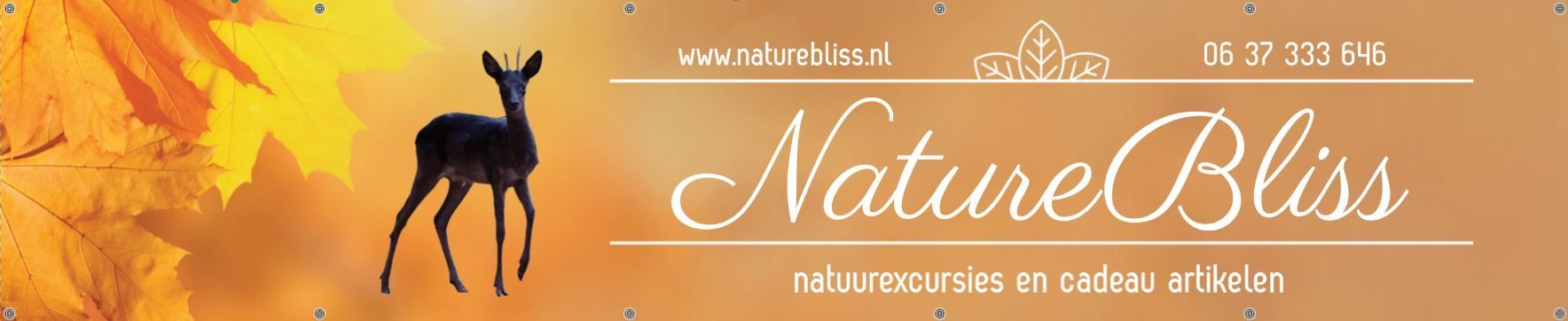 Een ree staat als silhouet tegen de achtergrond van herfstbladeren en de woorden 