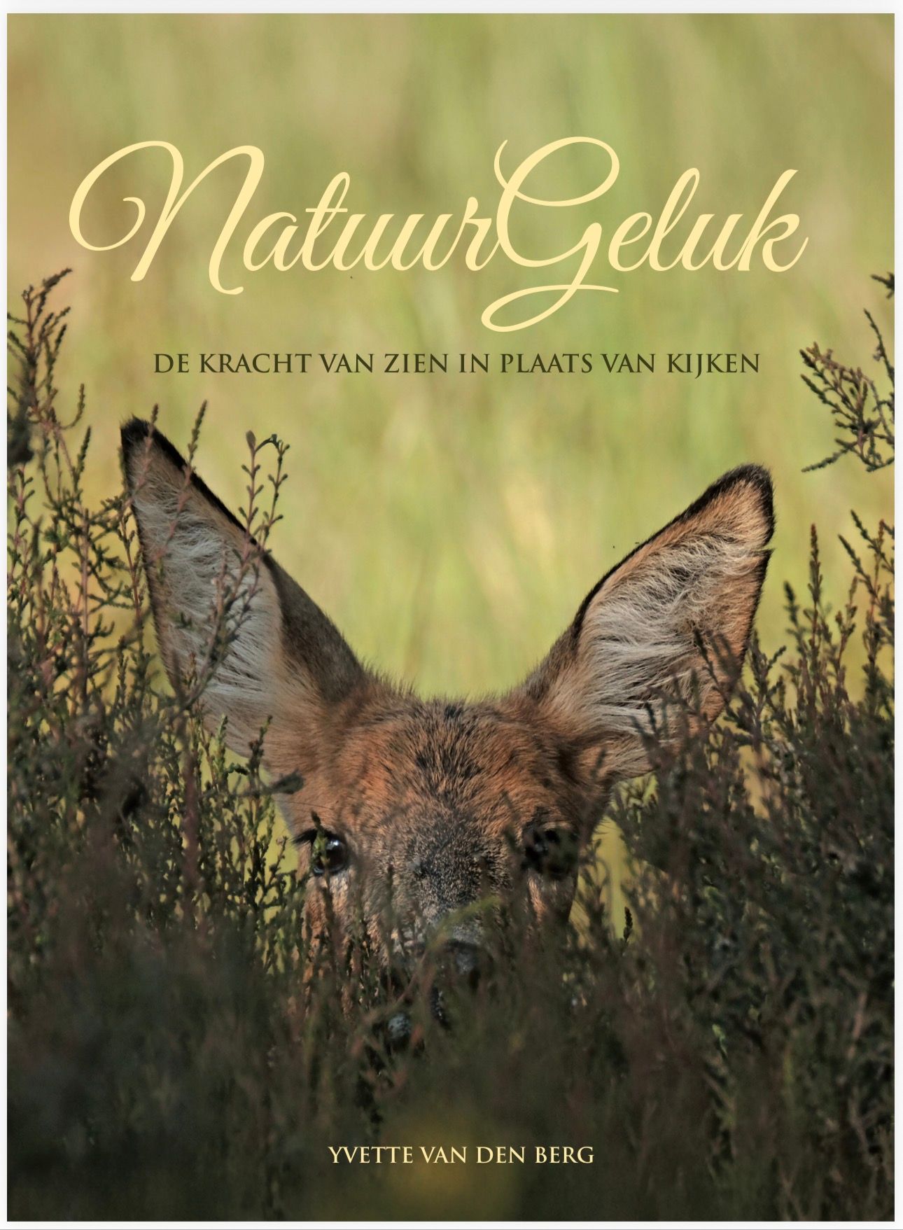 Book cover  NatuurGeluk. De kracht van zien in plaats van kijken.  