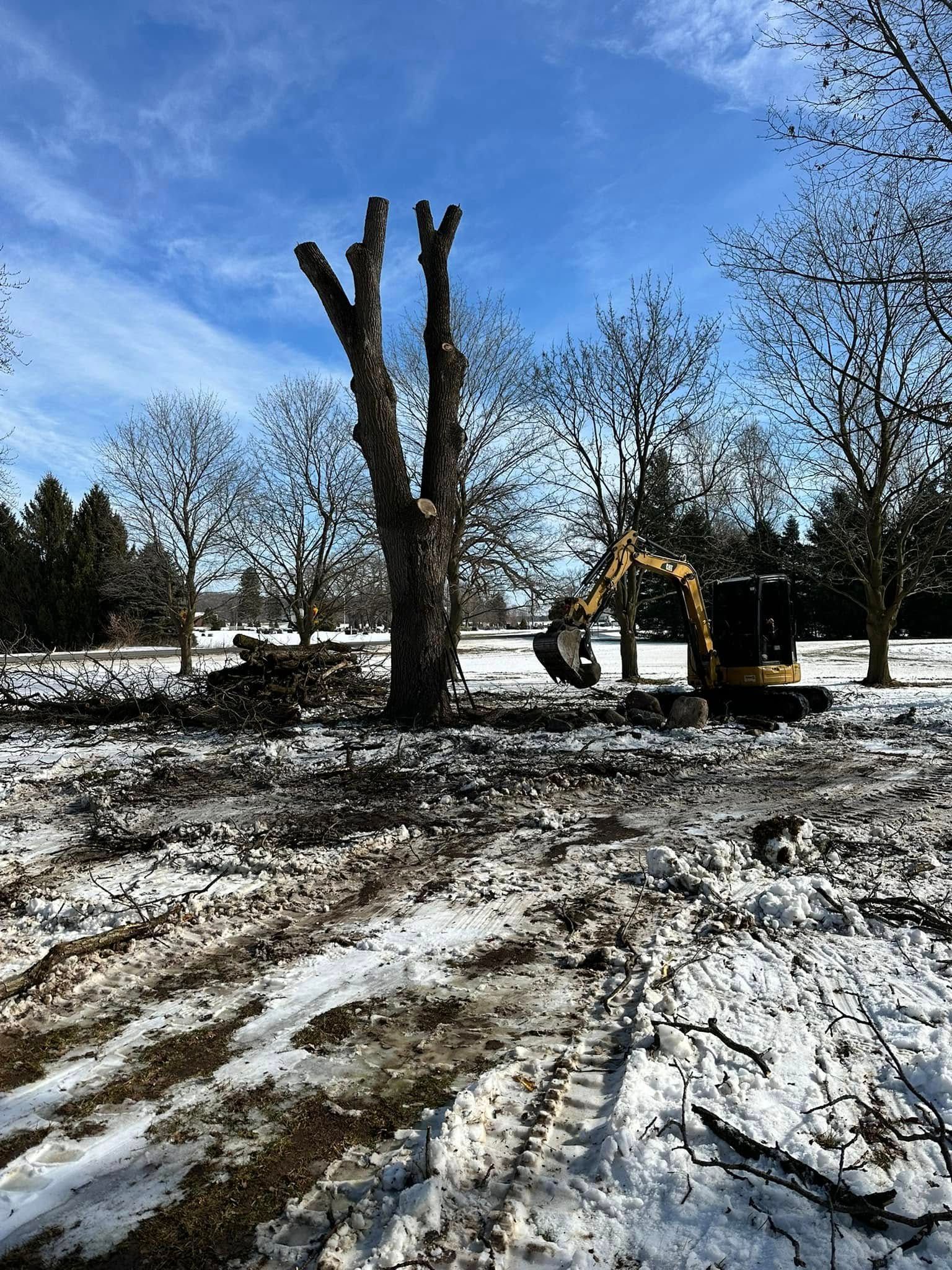 A bulldozer is cutting down a tree in the snow.
