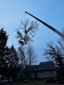 A crane is lifting a tree in front of a house
