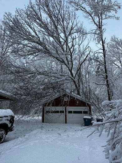 A snowy driveway leading to a garage with trees covered in snow