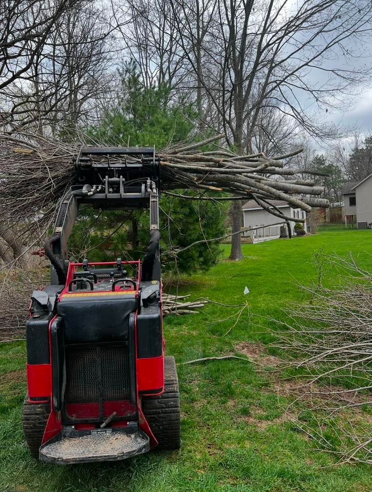 A bulldozer is carrying a pile of branches in a yard.