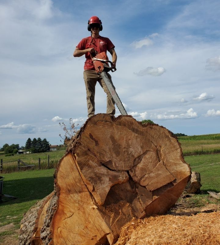 A man with a chainsaw standing on top of a tree stump