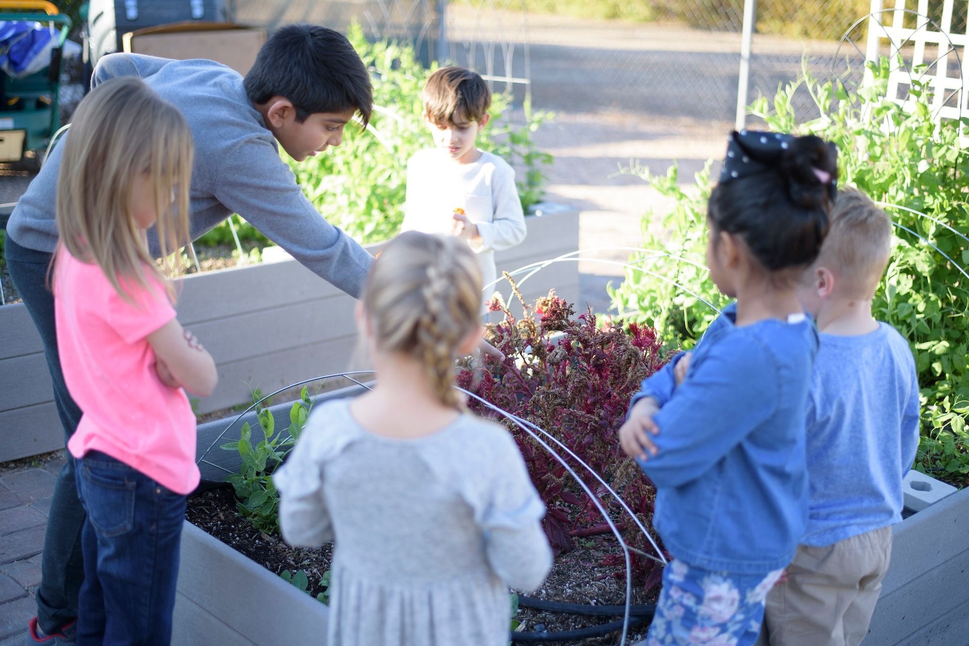 Children gardening 