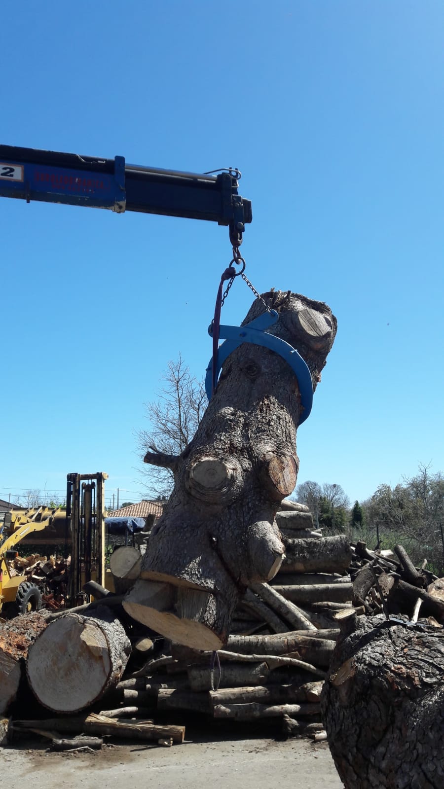 pulvirenti legna da ardere