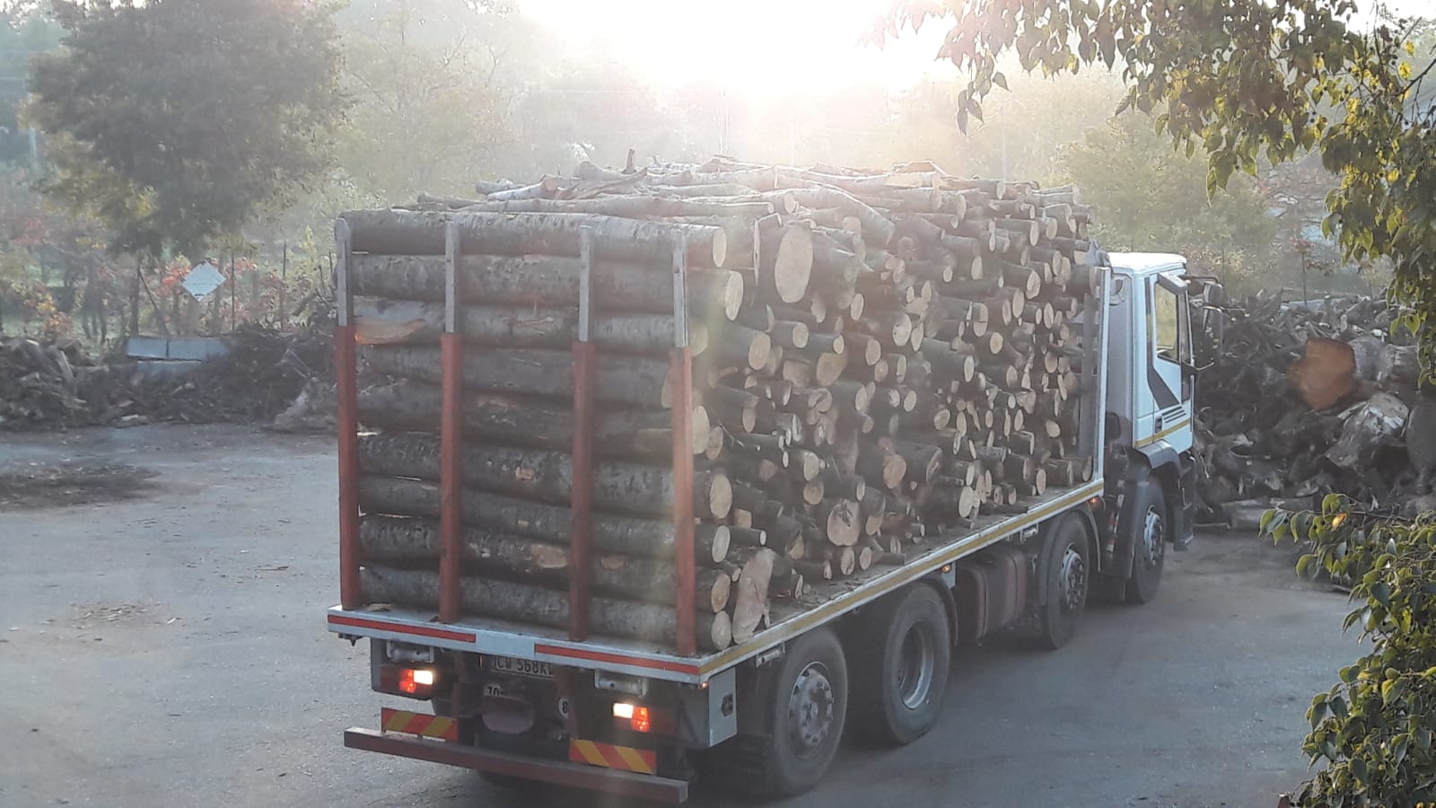 pulvirenti legna da ardere