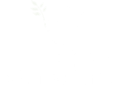 Logo for Almeida Counseling christian counseling and trauma therapy houston tx