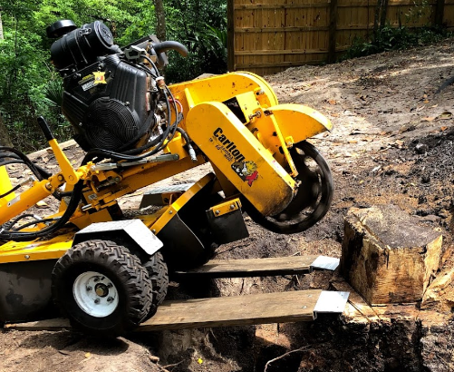 Tree Stump Grinding