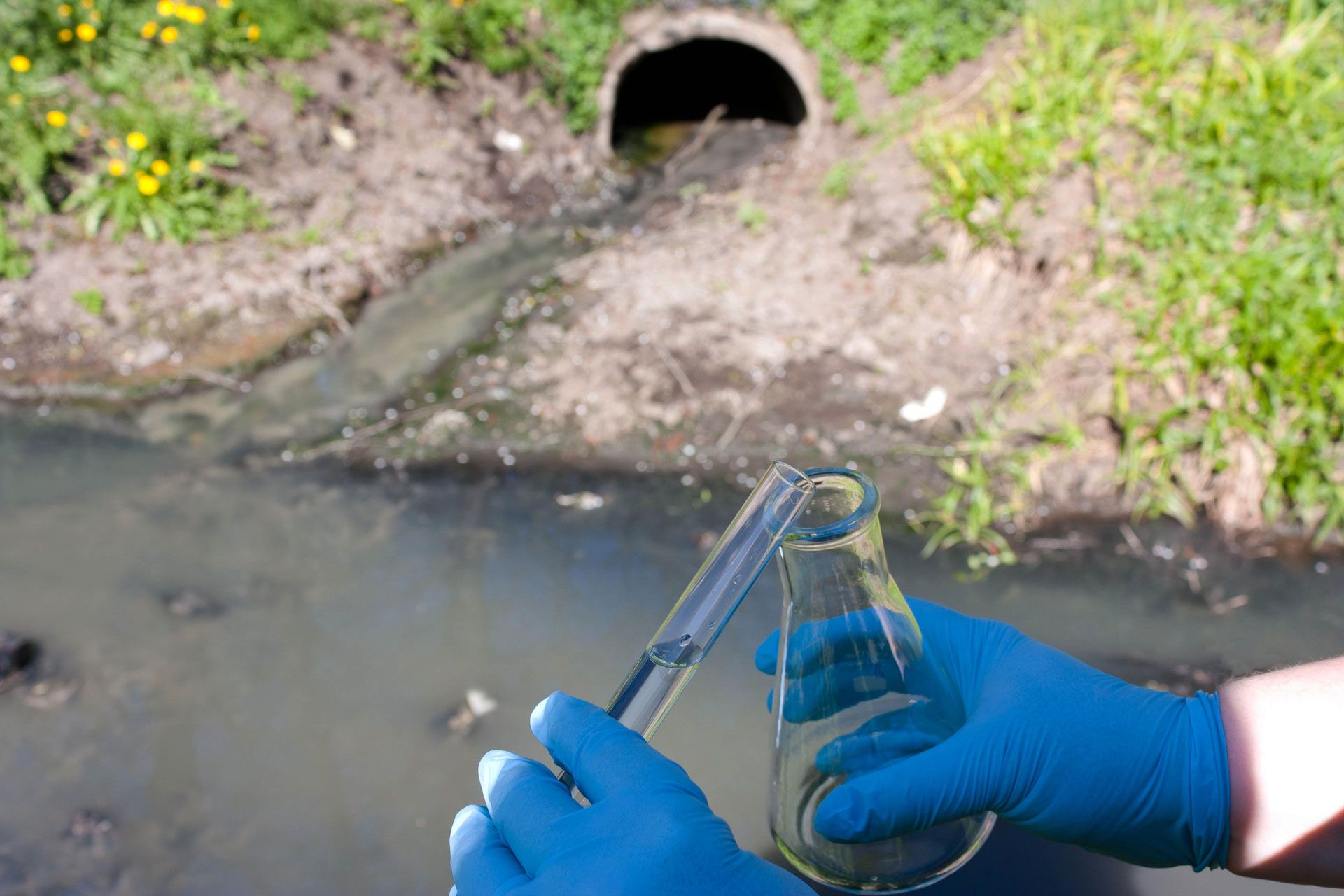 Sewer Water Testing