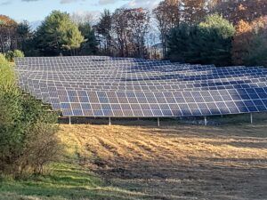 Solar panels in a field, generating renewable energy. Trees and blue sky in background.