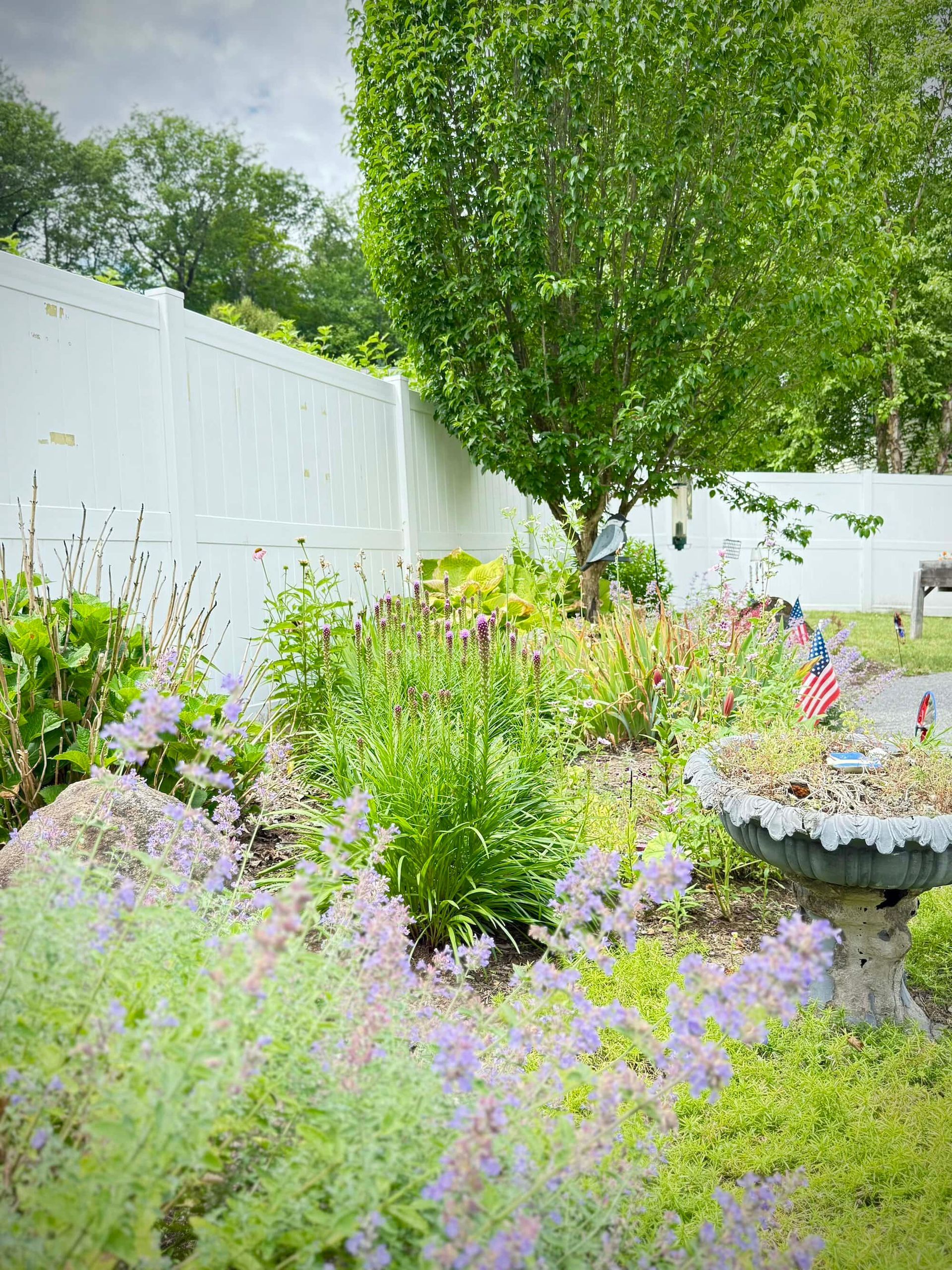 A colorful garden bed with flowers and a small tree, bordered by a white fence.