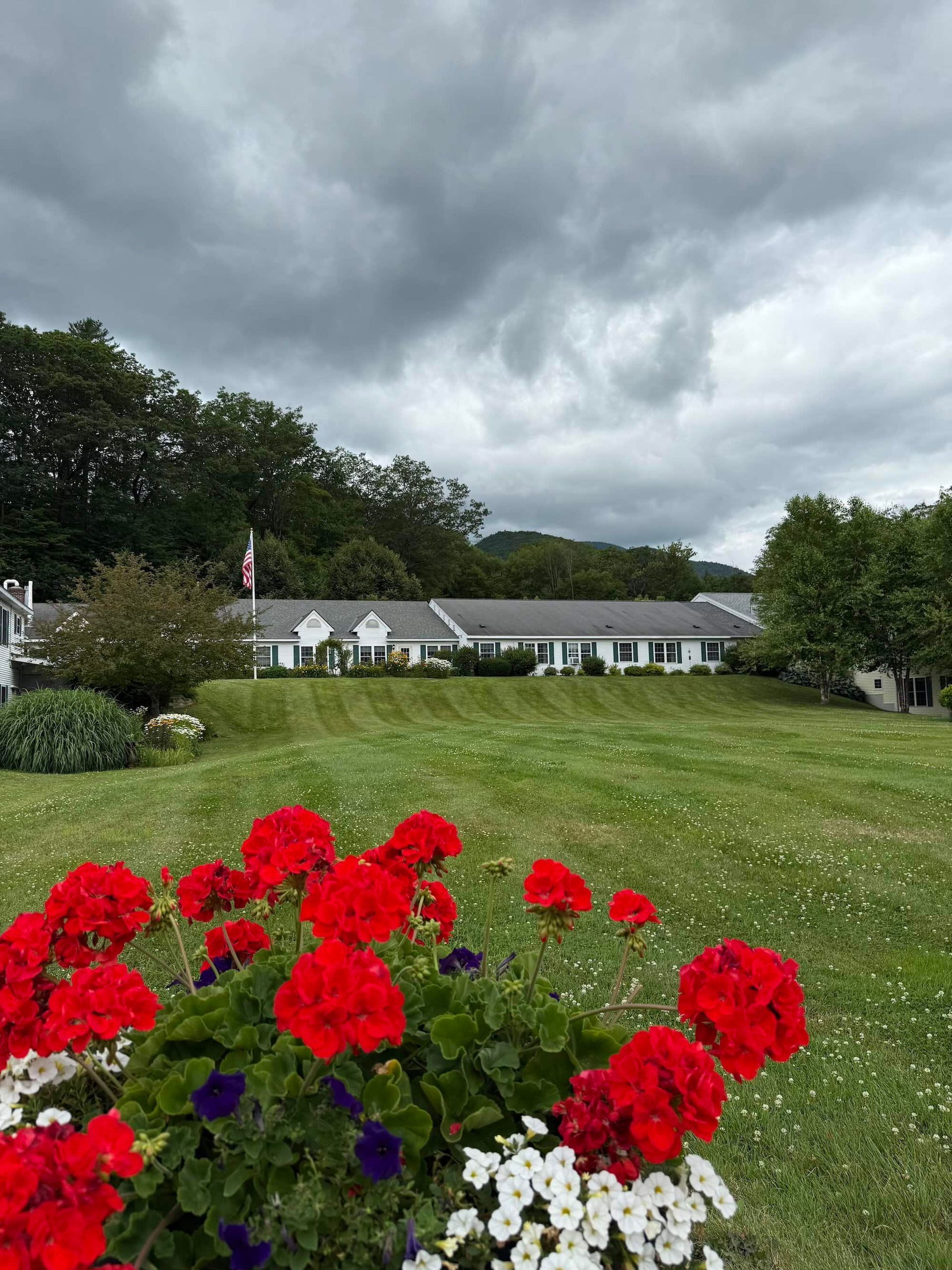 Flowers in foreground with a green lawn and white buildings under a cloudy sky.