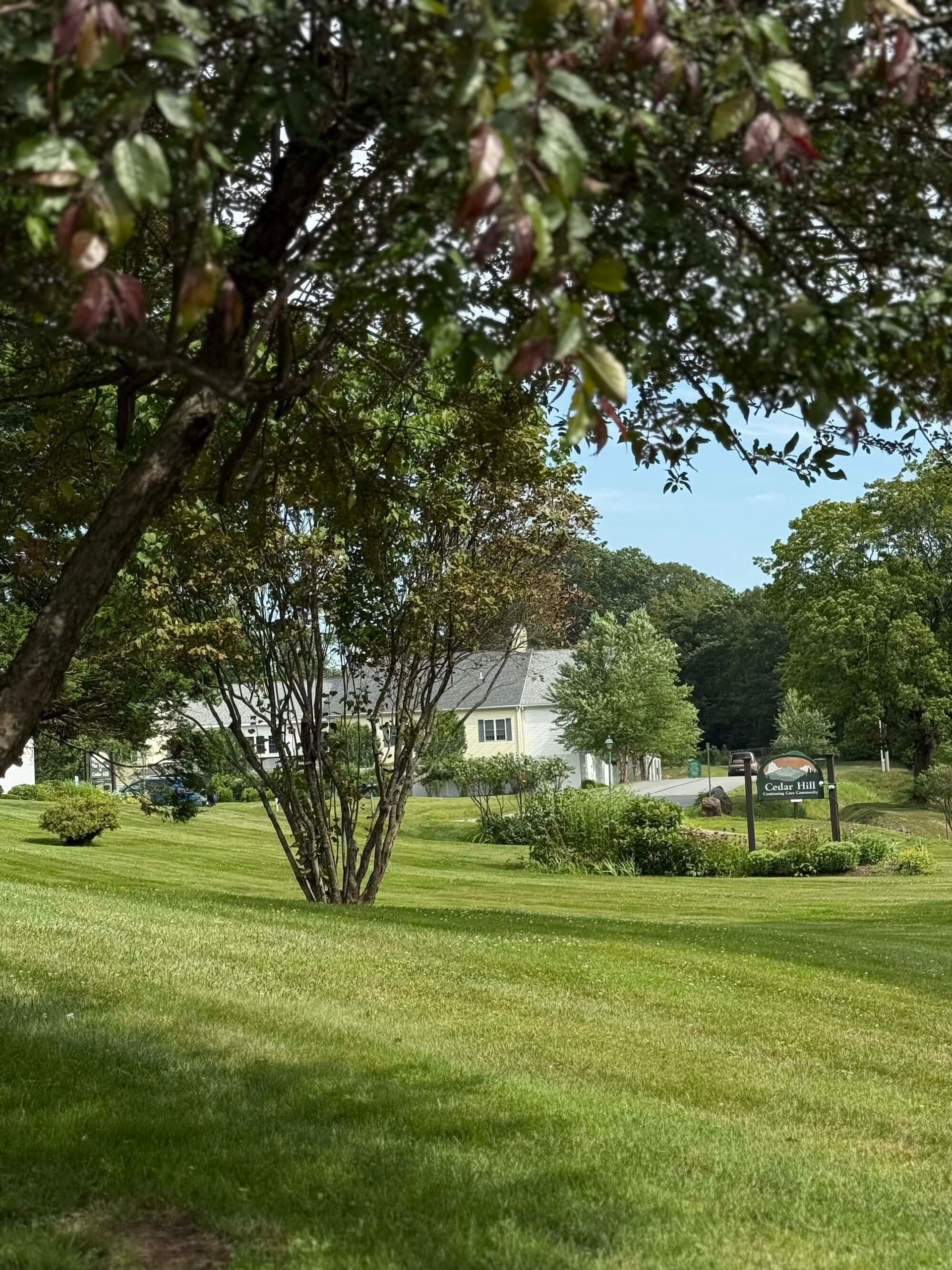 Green grassy lawn, small white house, trees, blue sky.