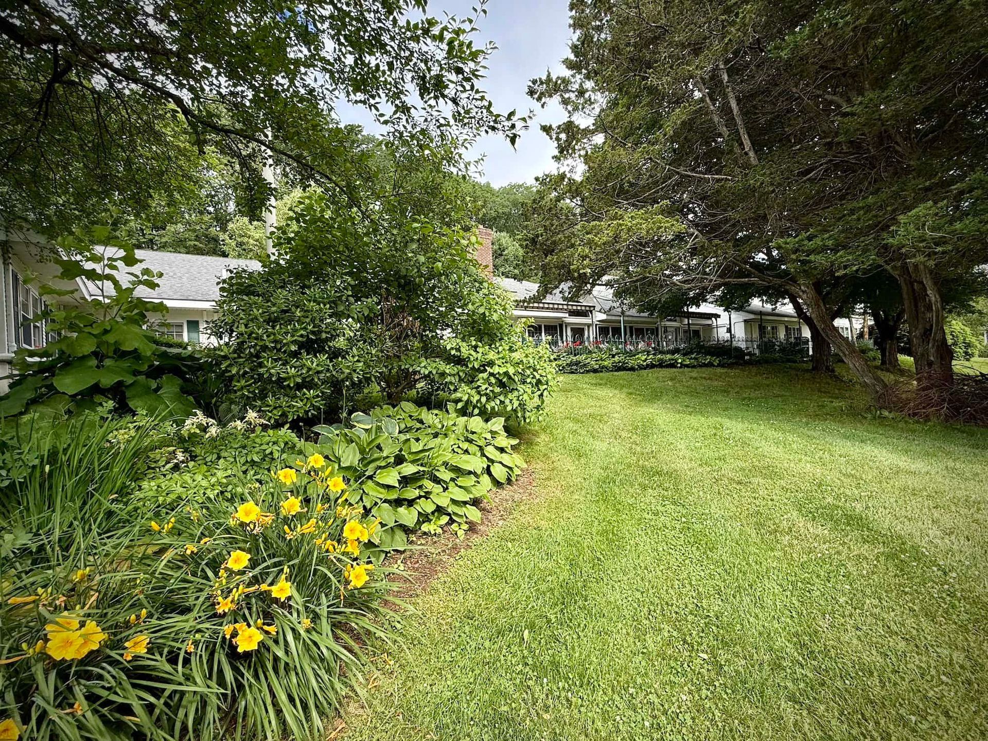 Green yard with flowers, shrubs, and a white house in the background on a sunny day.