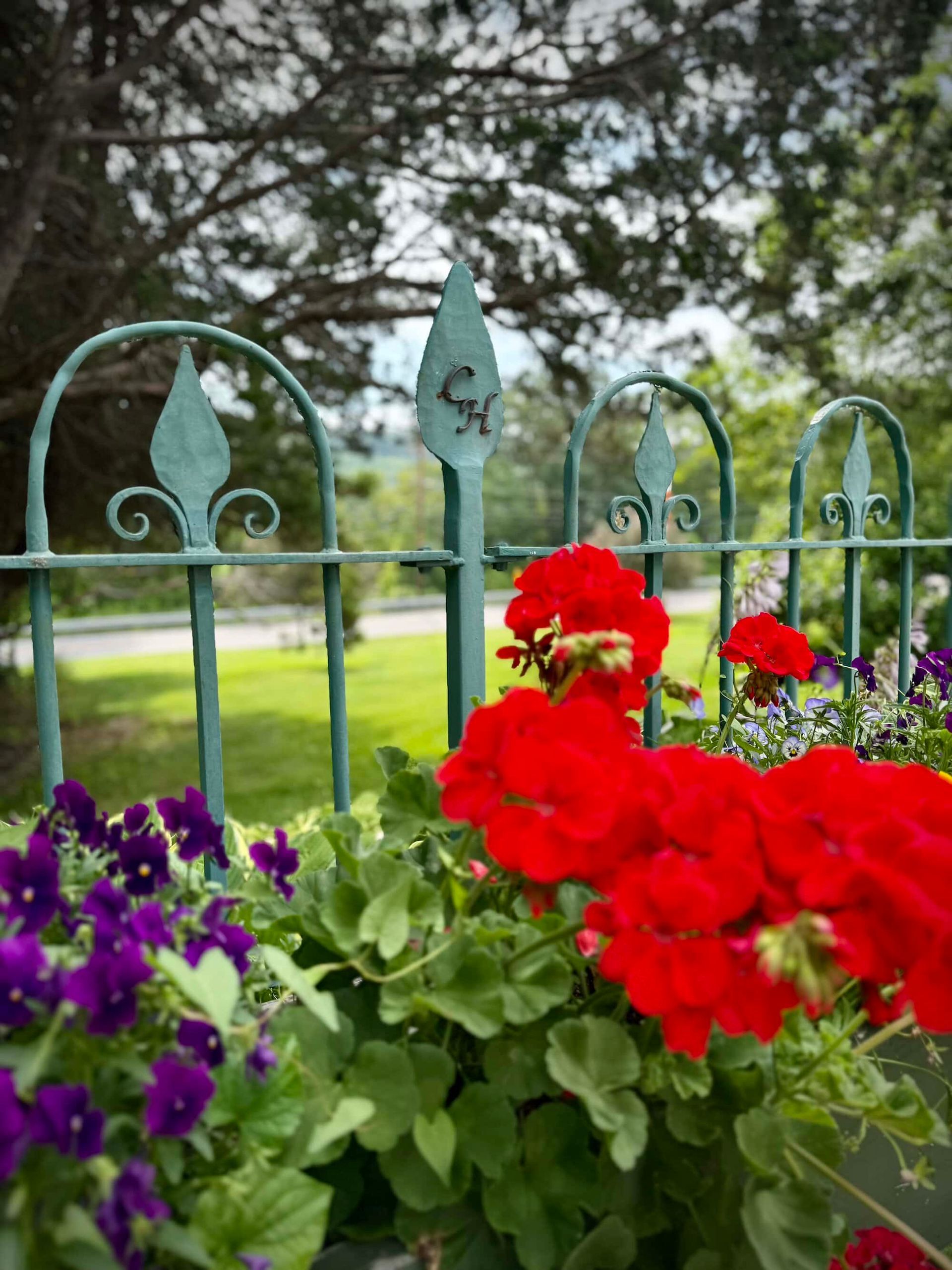 Red and purple flowers in a planter, framed by a green wrought iron fence. A blurred green landscape is in the background.