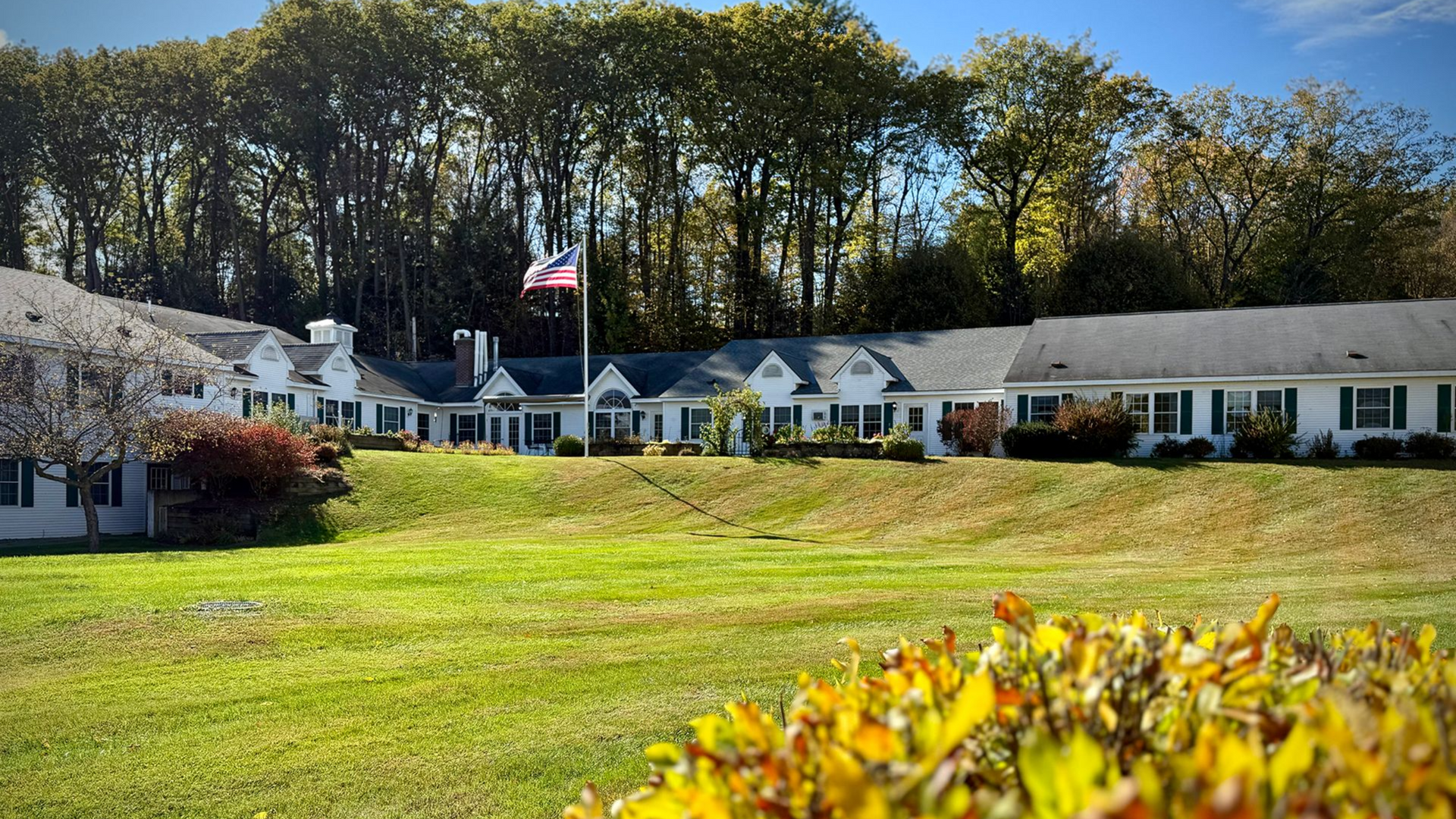 Row of white houses with an American flag beside a green lawn and tree line