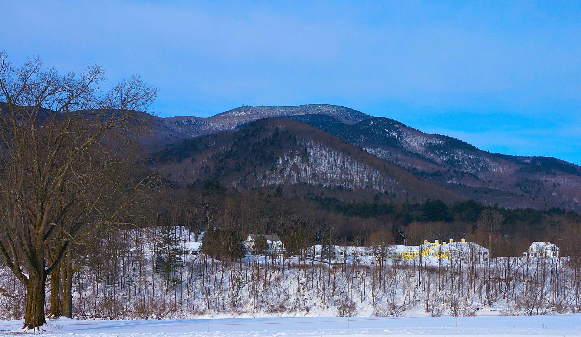 A snowy field with trees and mountains in the background