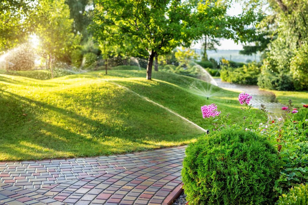 Green, manicured lawn with sprinklers, brick pathway, and flowering shrubs. Sunlight streams through trees. Green, manicured lawn with sprinklers, brick pathway, and flowering shrubs. Sunlight streams through trees.