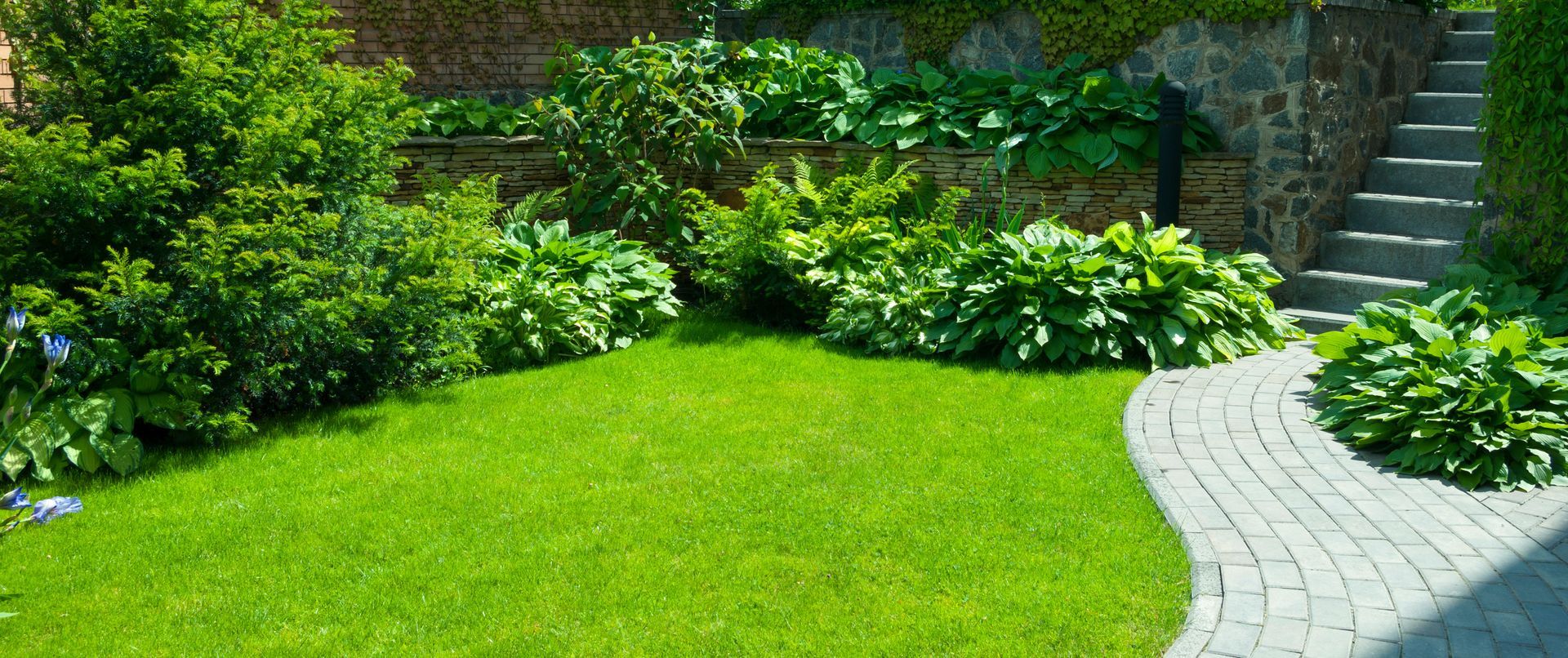 Lush green lawn with a stone pathway, bushes, and stone stairs in a sunny garden setting.