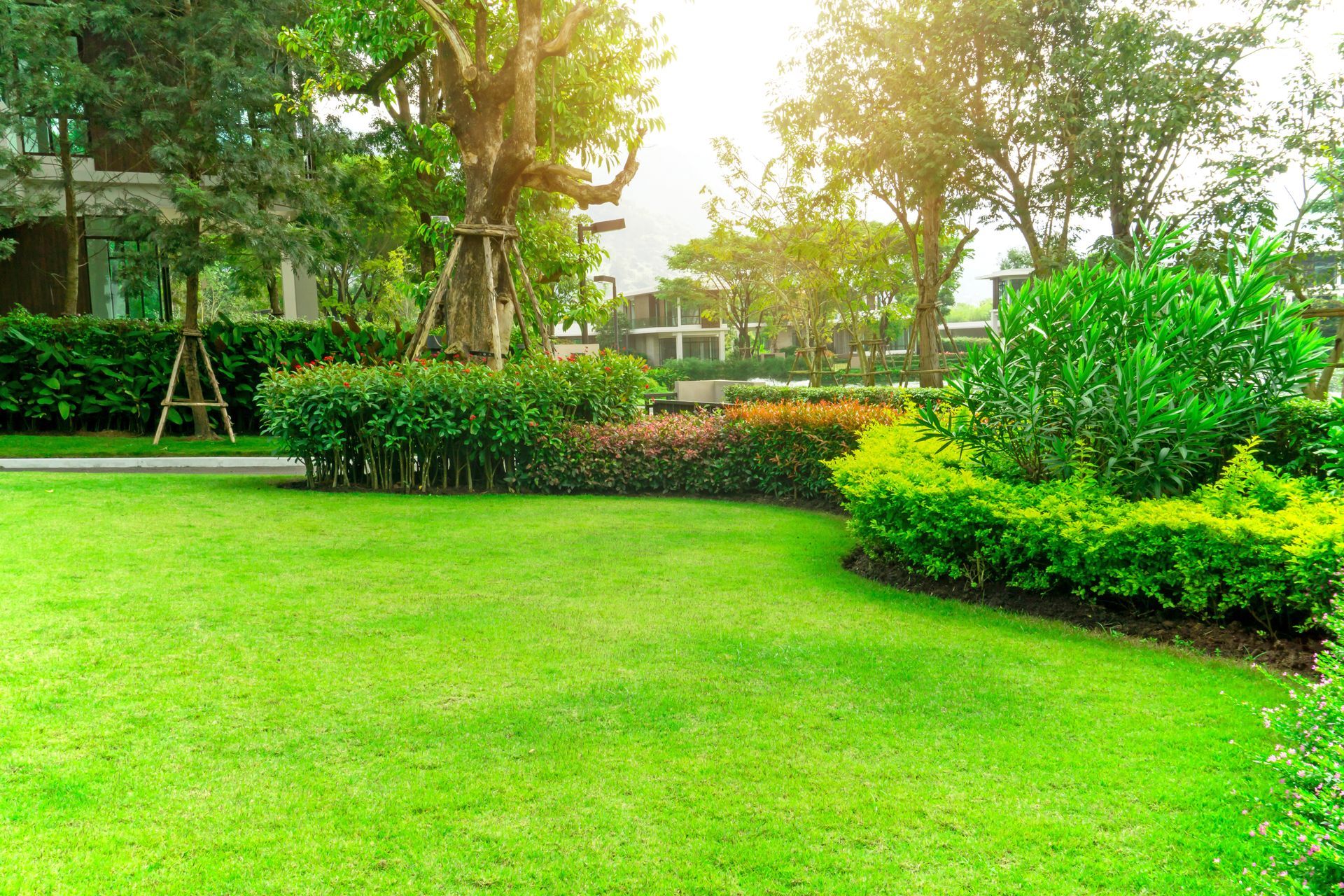 Lush green lawn in a manicured garden with various bushes, trees, and bright sunlight.
