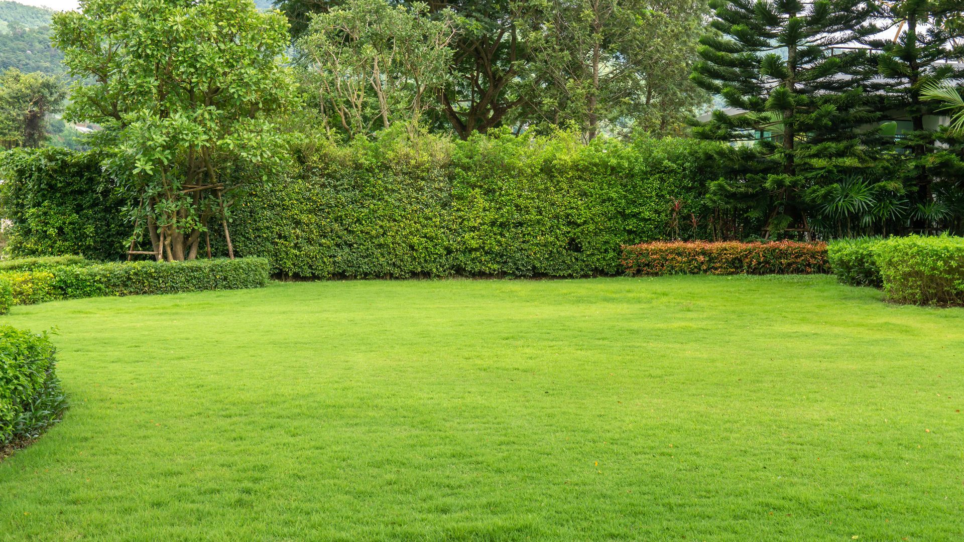 Lush green lawn surrounded by neatly trimmed hedges and trees.