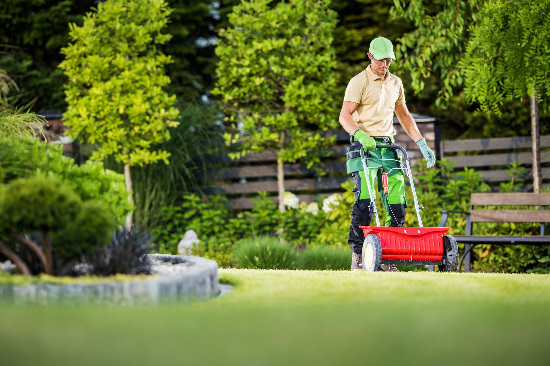 Man fertilizing a green lawn with a red spreader in a lush garden setting.