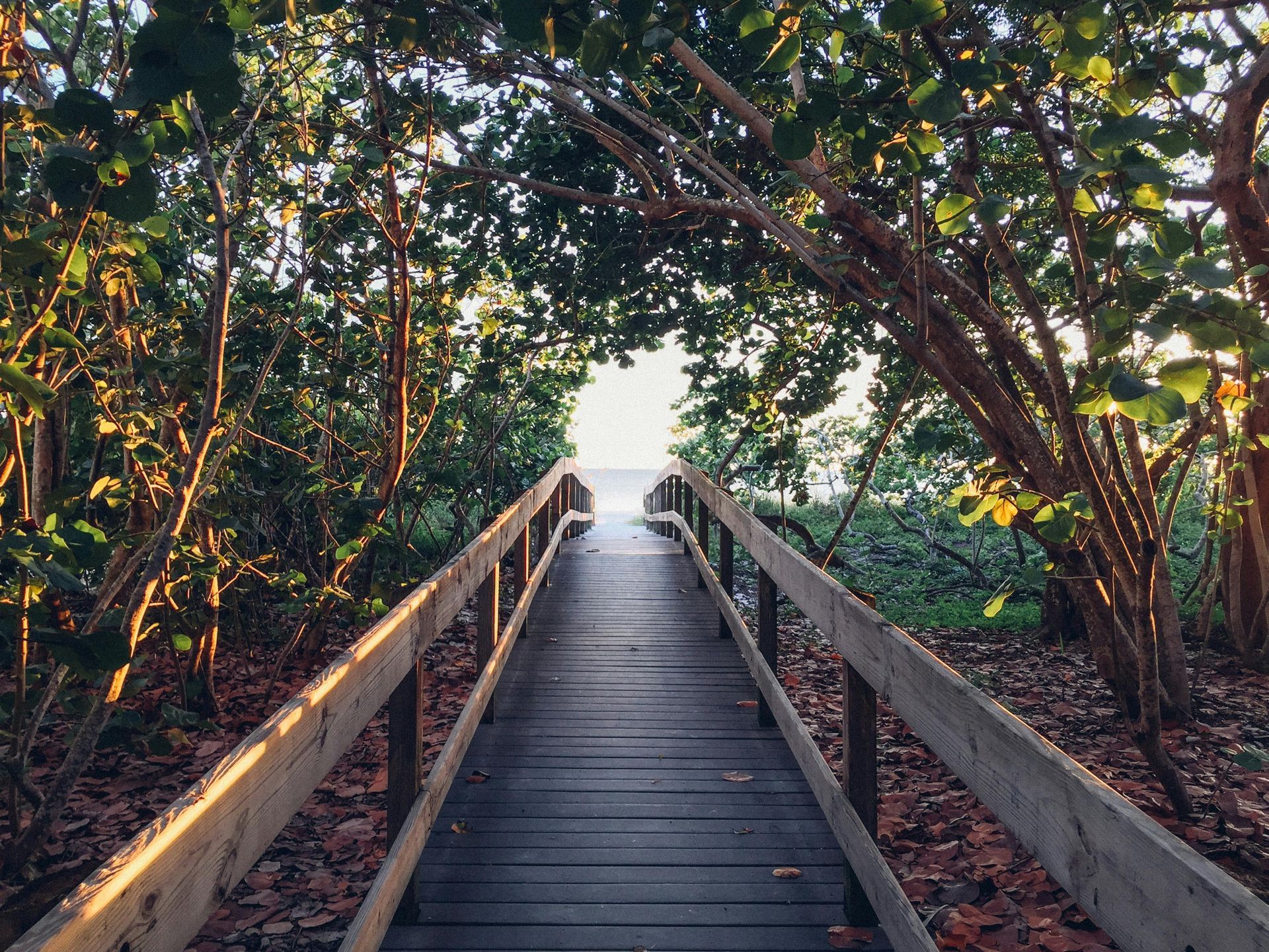 Wooden boardwalk through trees leading to a bright, open area of beach and sea.