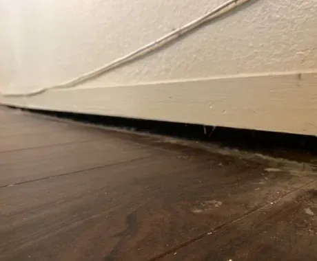 Gaps Between Floor and Walls