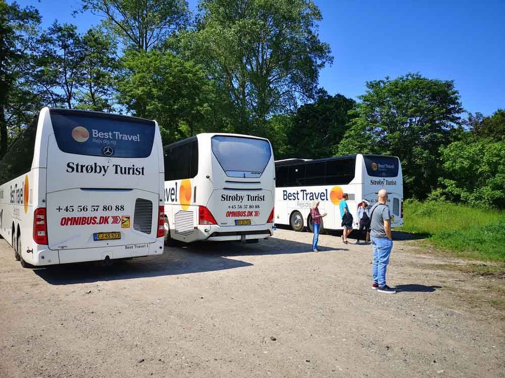 Tre hvide turistbusser parkeret udendørs på en solskinsdag. Folk står i nærheden og forbereder sig på at stige ombord.