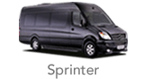 Executive Mercedes Sprinter