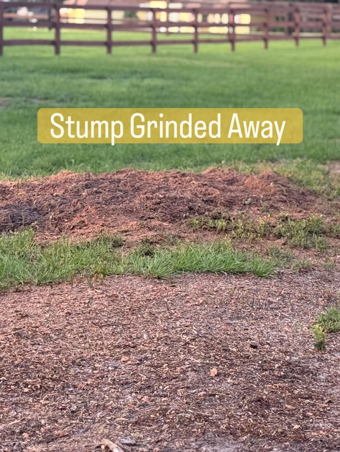 Stump Grinding services 8