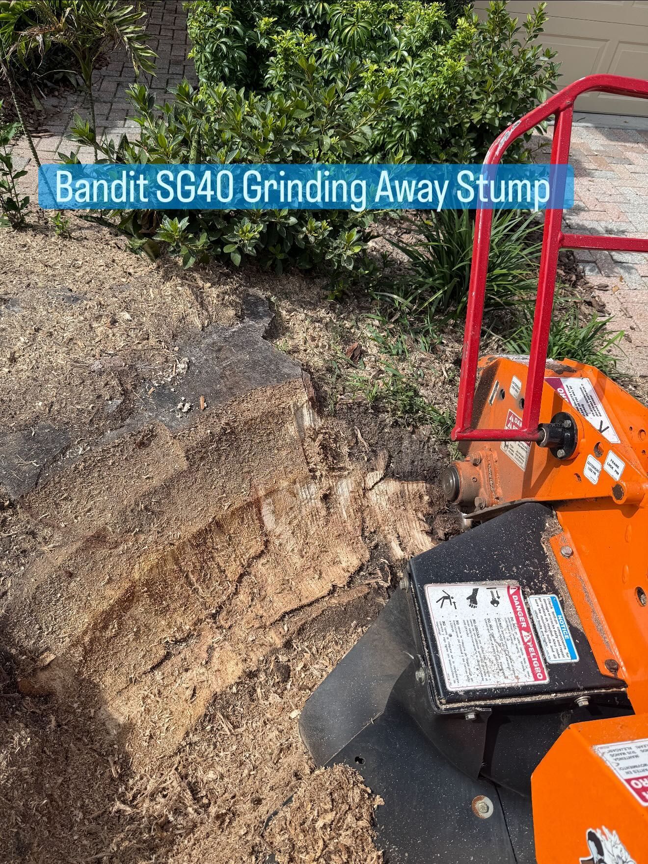 Stump Grinding services 9