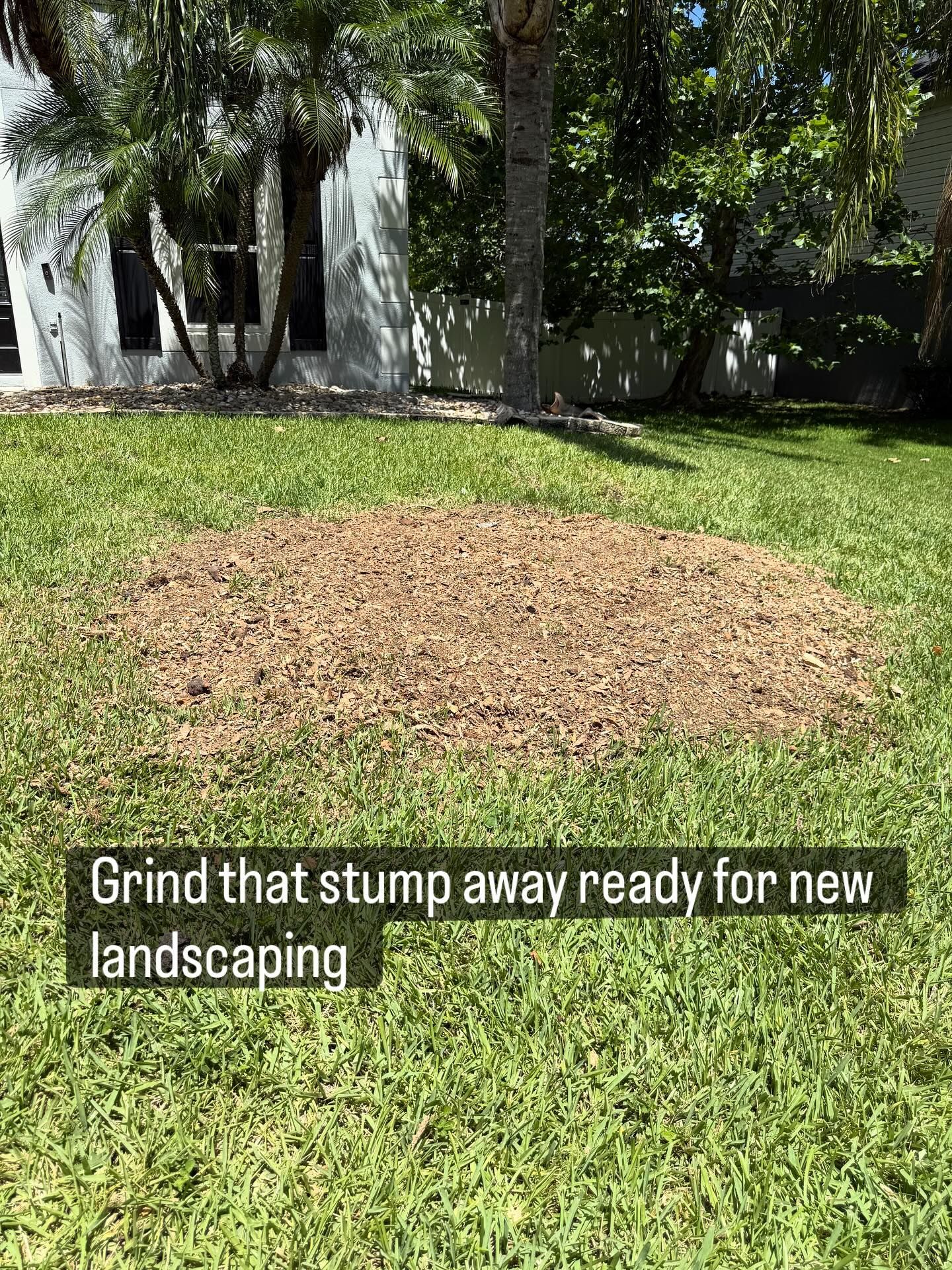 Stump Grinding services 11