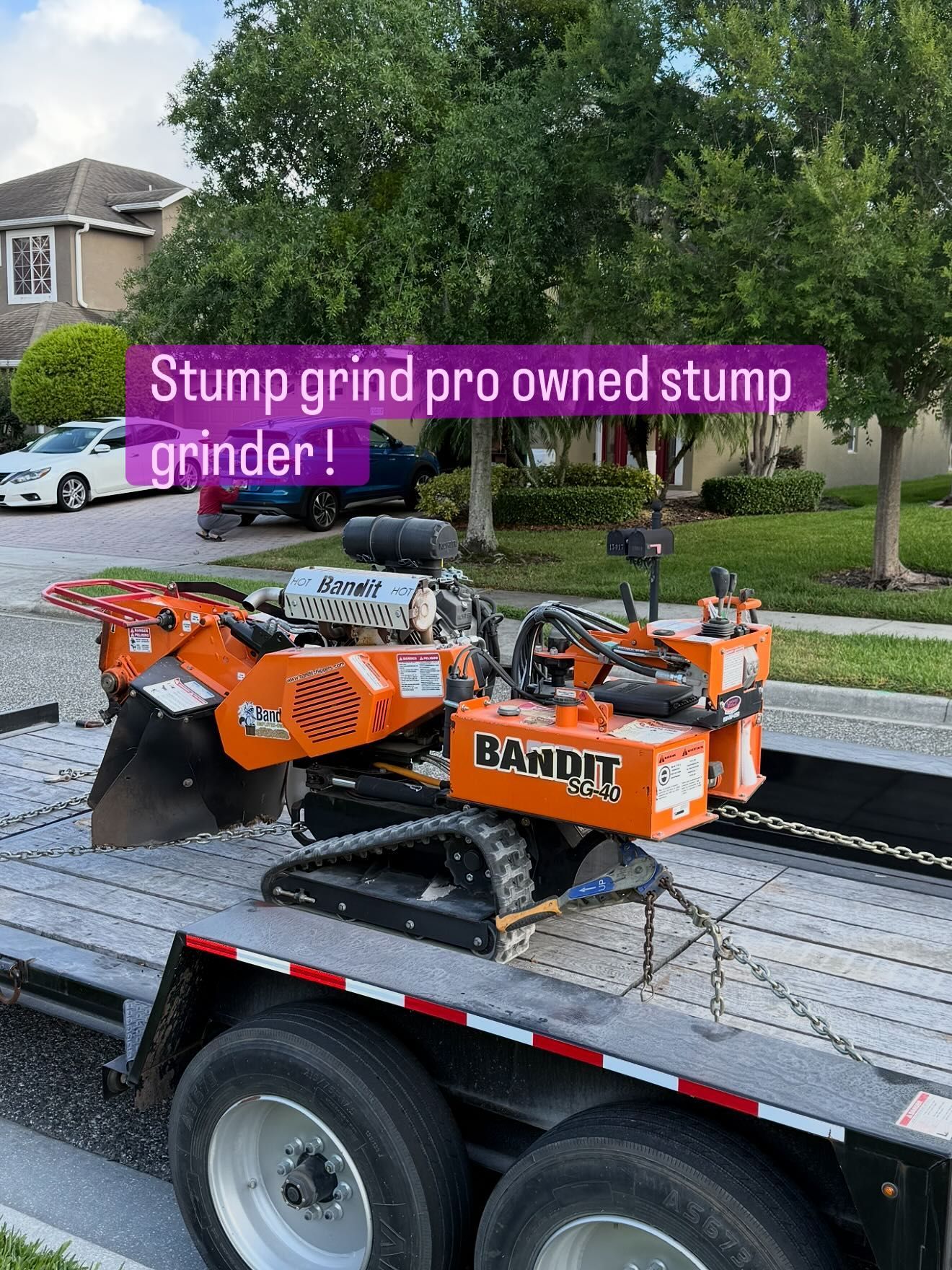 Stump Grinding services 12