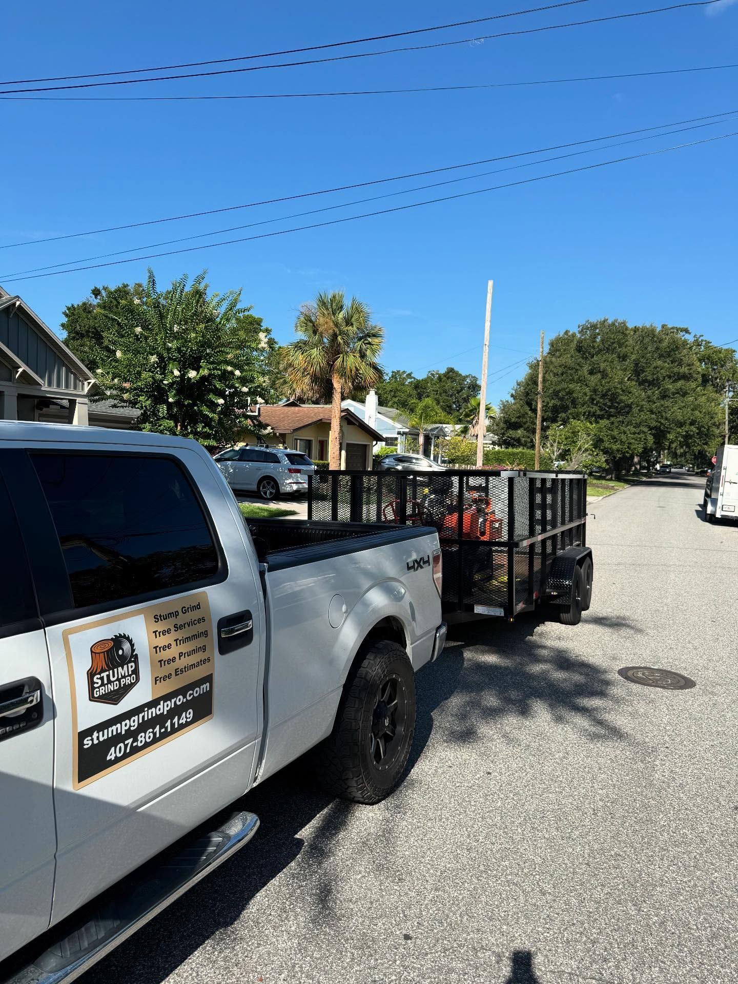 Stump Grinding services 14