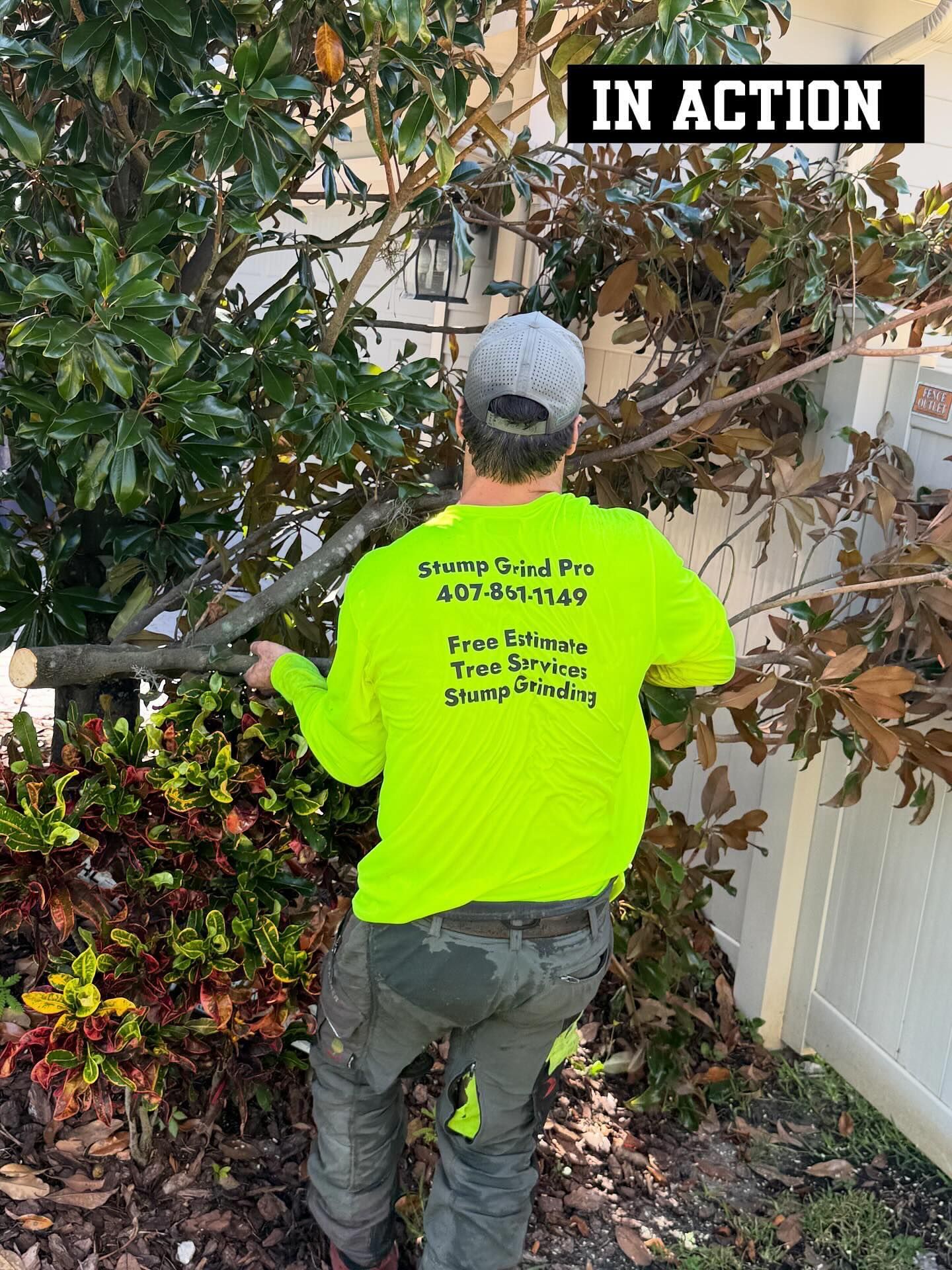 Stump Grinding services 15