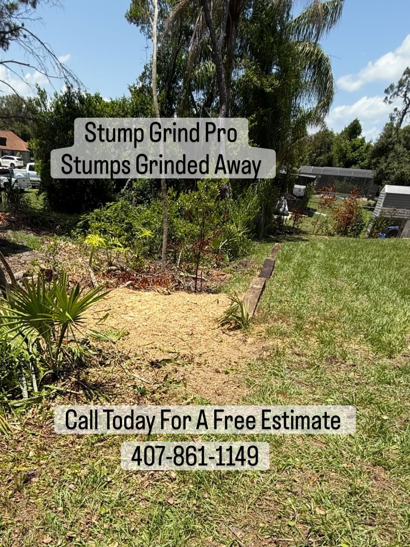 Stump Grinding services 17