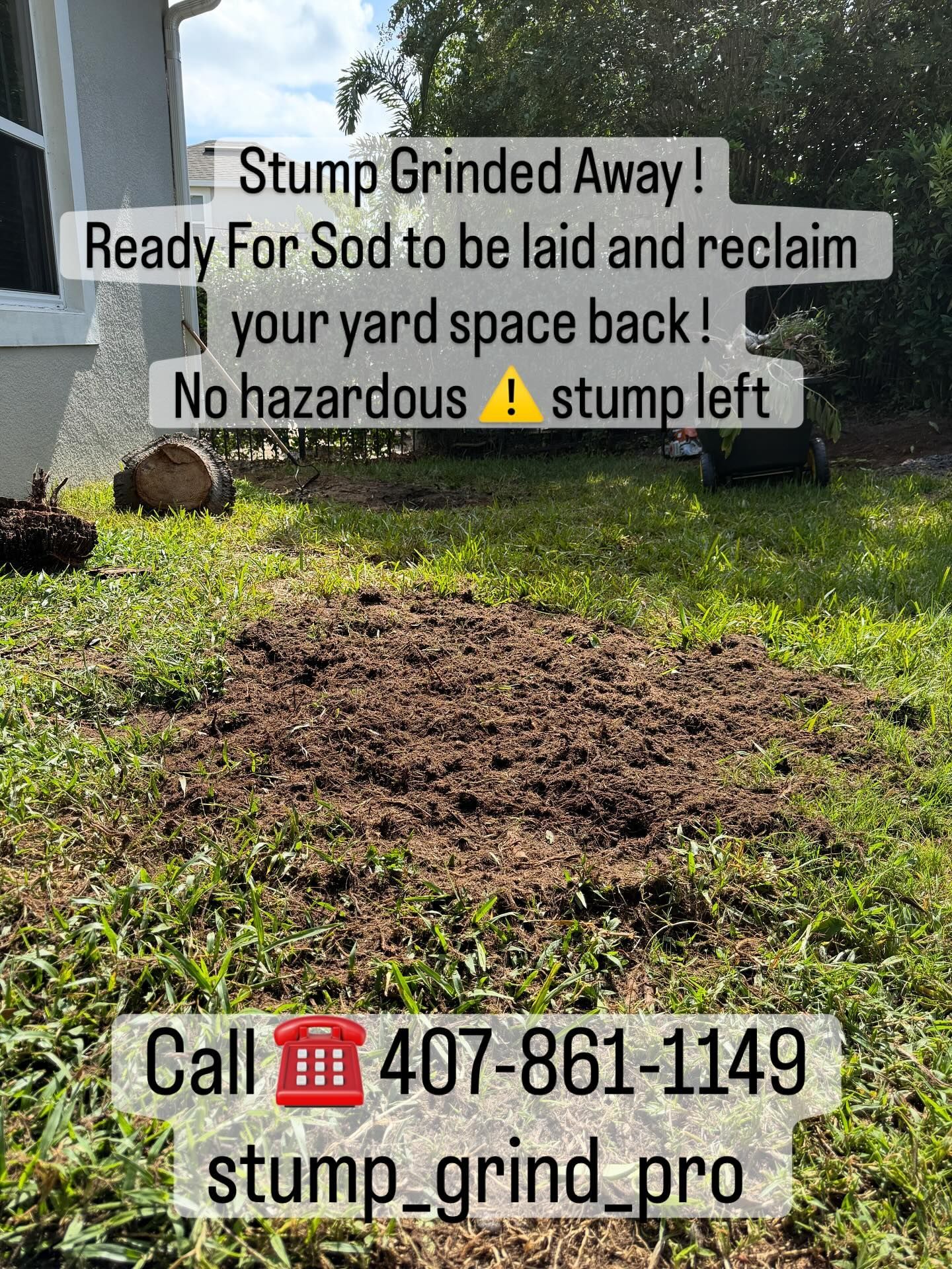 Stump Grinding services 4