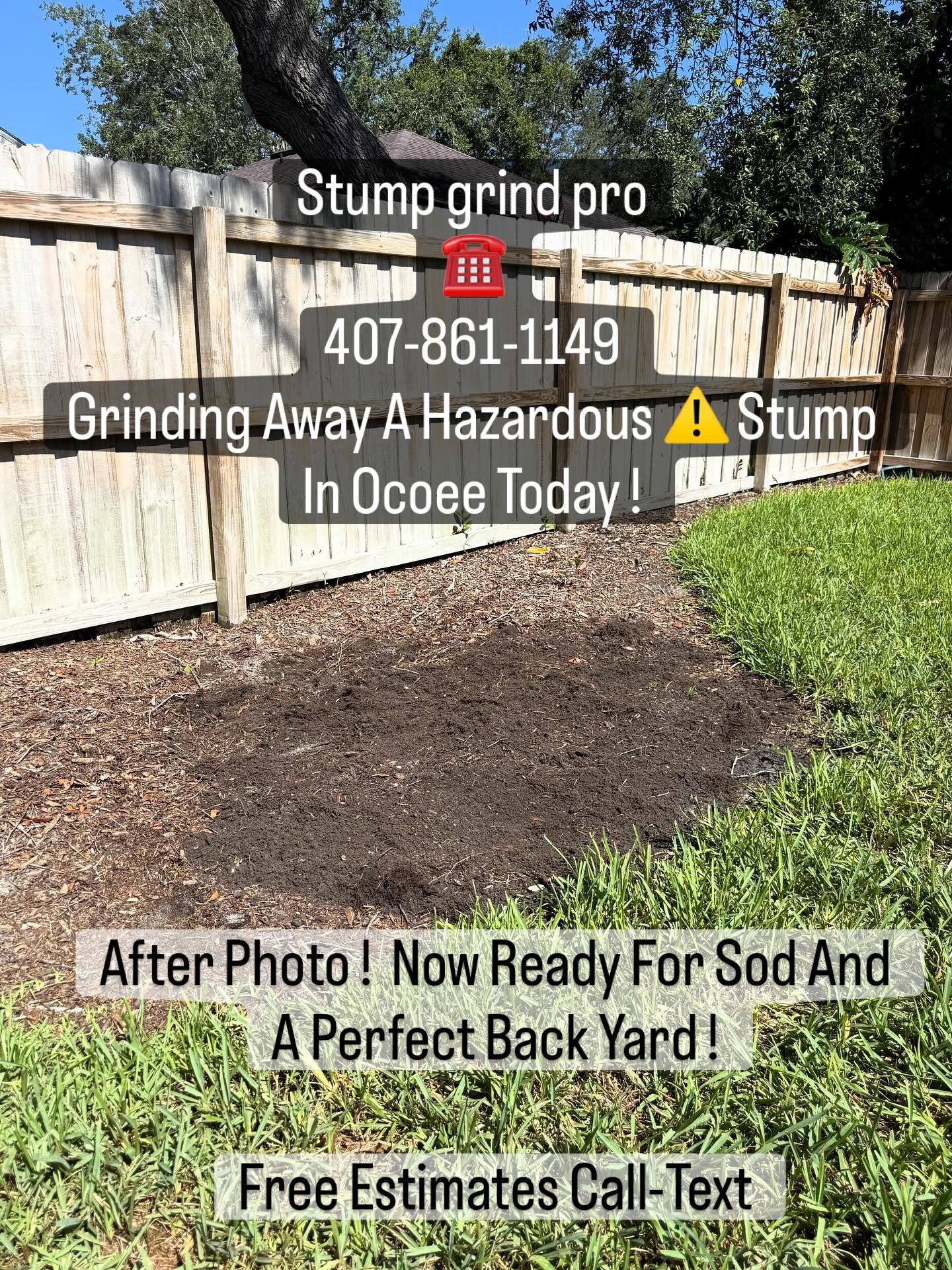 Stump Grinding services 5