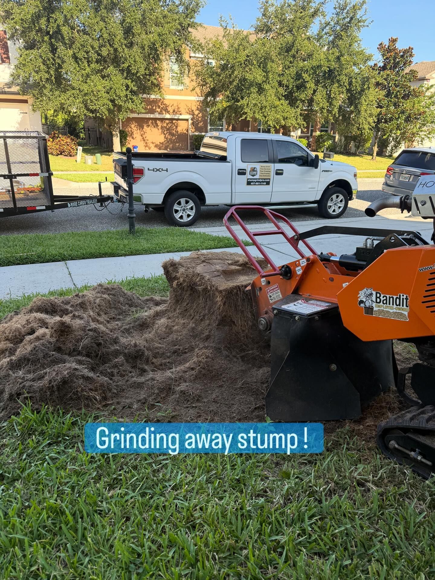 Stump Grinding services 6