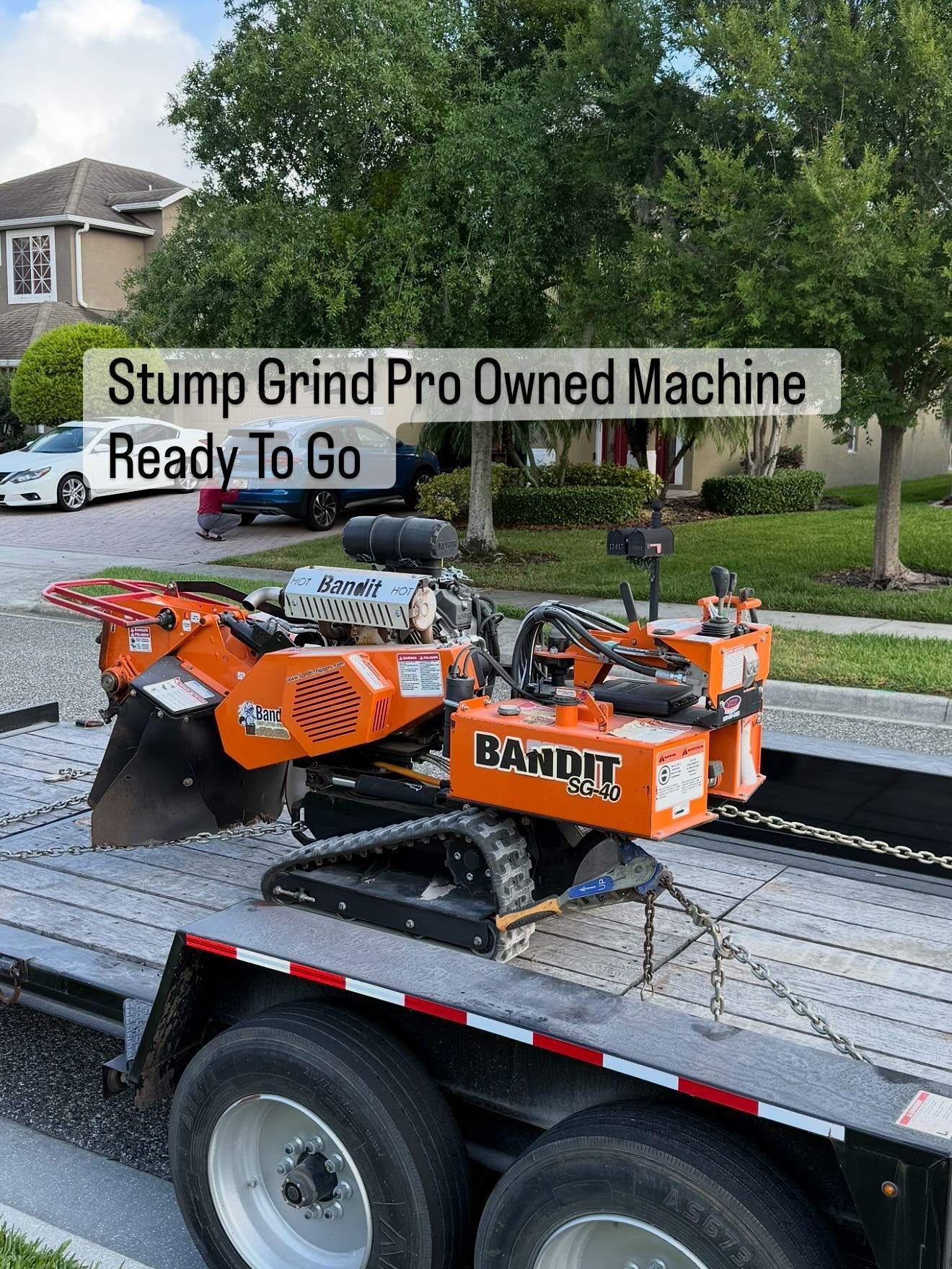Stump Grinding services 7