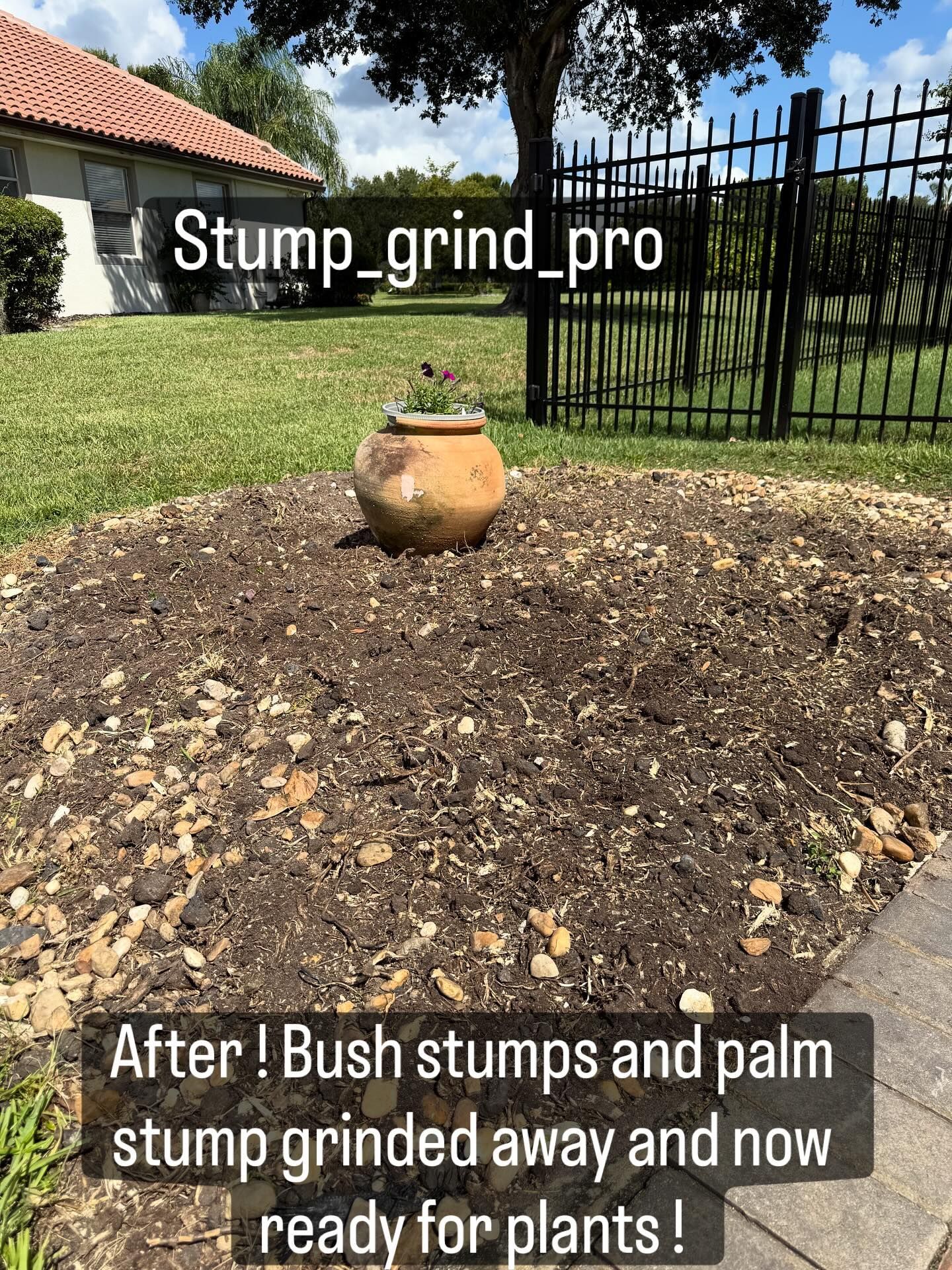 Stump Grinding services 18