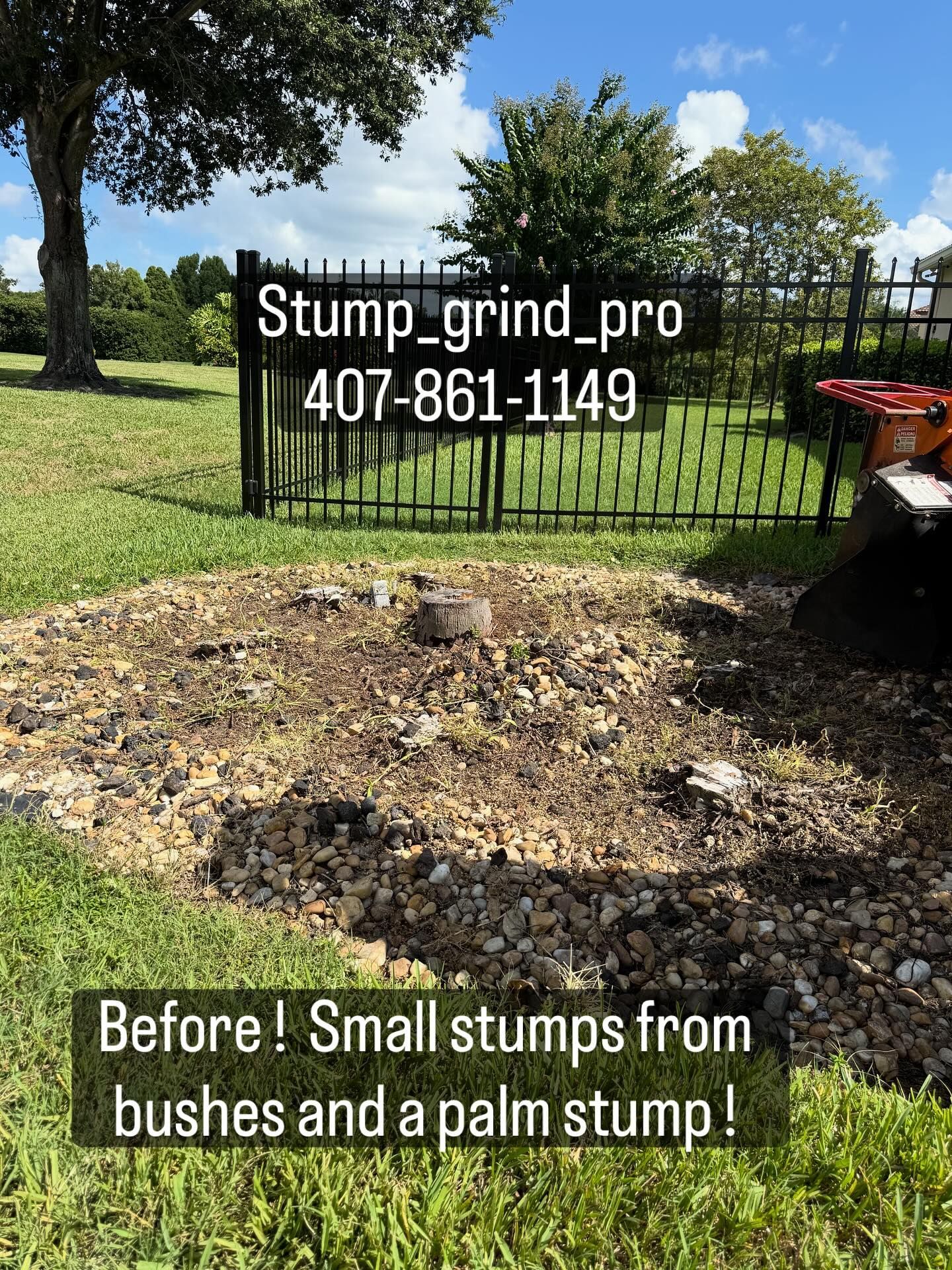 Stump Grinding services 19